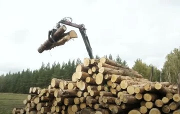 дрова дрова